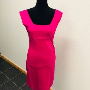 NWT Express Pink Dress